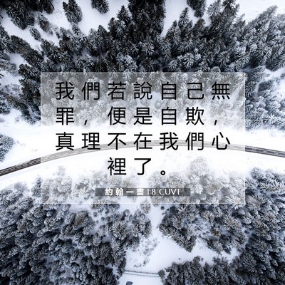 Picture 07 - 約 翰 一 書 1:8 CUVT - 我 們 若 說 自 己 無 罪 ， 便 是 自 - Bible Verse Picture