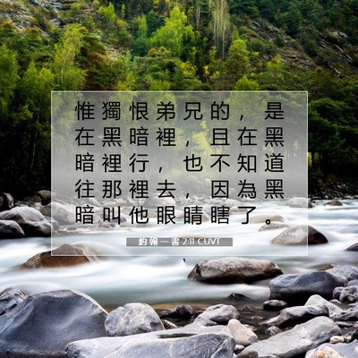 Picture 07 - 約 翰 一 書 2:11 CUVT - 惟 獨 恨 弟 兄 的 ， 是 在 黑 暗 裡 - Bible Verse Picture