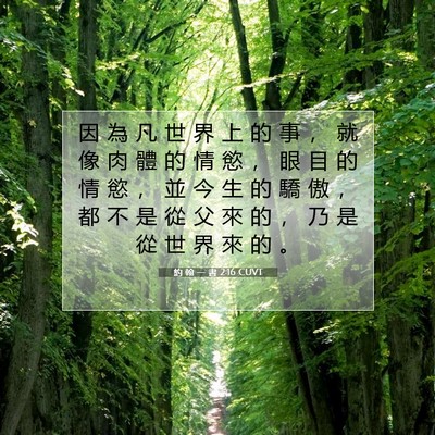 Picture 07 - 約 翰 一 書 2:16 CUVT - 因 為 凡 世 界 上 的 事 ， 就 像 肉 - Bible Verse Picture