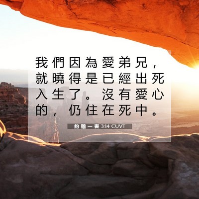 Picture 07 - 約 翰 一 書 3:14 CUVT - 我 們 因 為 愛 弟 兄 ， 就 曉 得 是 - Bible Verse Picture