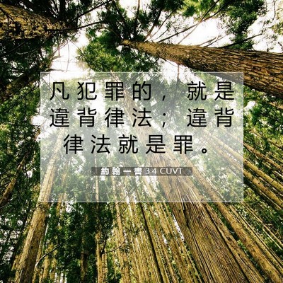 Picture 07 - 約 翰 一 書 3:4 CUVT - 凡 犯 罪 的 ， 就 是 違 背 律 法 ； - Bible Verse Picture