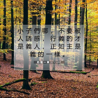 Picture 07 - 約 翰 一 書 3:7 CUVT - 小 子 們 哪 ， 不 要 被 人 誘 感 ， - Bible Verse Picture