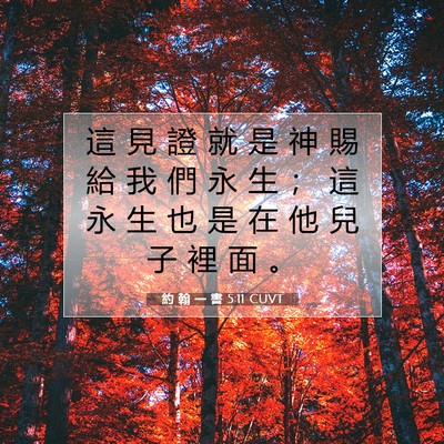 Picture 07 - 約 翰 一 書 5:11 CUVT - 這 見 證 就 是 神 賜 給 我 們 永 生 - Bible Verse Picture