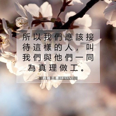 Picture 07 - 約 翰 三 書 1:8 CUVT - 所 以 我 們 應 該 接 待 這 樣 的 人 - Bible Verse Picture