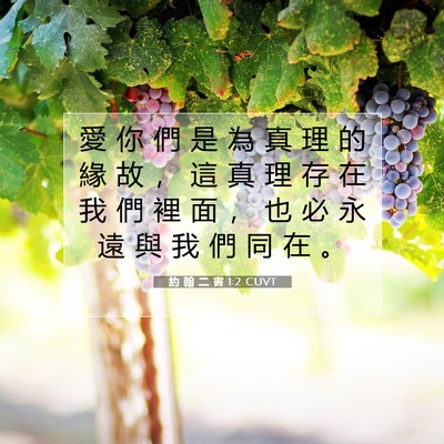 Picture 07 - 約 翰 二 書 1:2 CUVT - 愛 你 們 是 為 真 理 的 緣 故 ， 這 - Bible Verse Picture