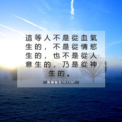 Picture 07 - 約 翰 福 音 1:13 CUVT - 這 等 人 不 是 從 血 氣 生 的 ， 不 - Bible Verse Picture