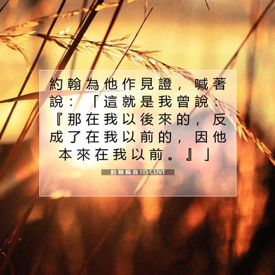 Picture 07 - 約 翰 福 音 1:15 CUVT - 約 翰 為 他 作 見 證 ， 喊 著 說 ： - Bible Verse Picture