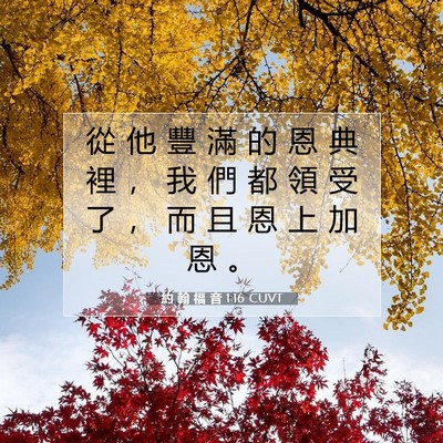 Picture 07 - 約 翰 福 音 1:16 CUVT - 從 他 豐 滿 的 恩 典 裡 ， 我 們 都 - Bible Verse Picture