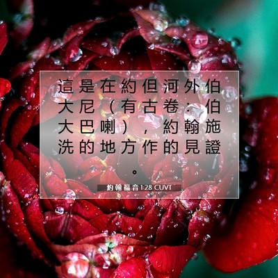 Picture 07 - 約 翰 福 音 1:28 CUVT - 這 是 在 約 但 河 外 伯 大 尼 （ 有 - Bible Verse Picture
