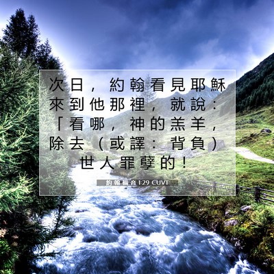 Picture 07 - 約 翰 福 音 1:29 CUVT - 次 日 ， 約 翰 看 見 耶 穌 來 到 他 - Bible Verse Picture