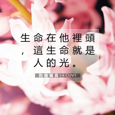 Picture 07 - 約 翰 福 音 1:4 CUVT - 生 命 在 他 裡 頭 ， 這 生 命 就 是 - Bible Verse Picture