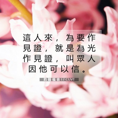 Picture 07 - 約 翰 福 音 1:7 CUVT - 這 人 來 ， 為 要 作 見 證 ， 就 是 - Bible Verse Picture