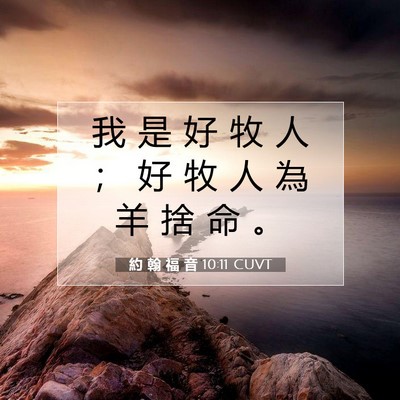 Picture 07 - 約 翰 福 音 10:11 CUVT - 我 是 好 牧 人 ； 好 牧 人 為 羊 捨 - Bible Verse Picture
