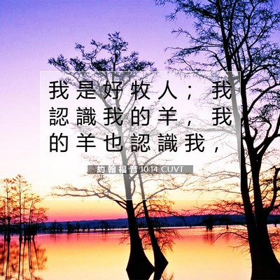Picture 07 - 約 翰 福 音 10:14 CUVT - 我 是 好 牧 人 ； 我 認 識 我 的 羊 - Bible Verse Picture