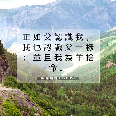 Picture 07 - 約 翰 福 音 10:15 CUVT - 正 如 父 認 識 我 ， 我 也 認 識 父 - Bible Verse Picture