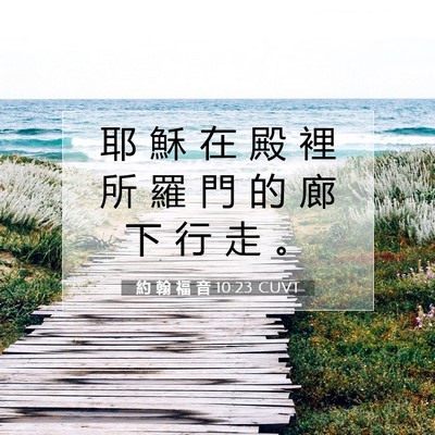 Picture 07 - 約 翰 福 音 10:23 CUVT - 耶 穌 在 殿 裡 所 羅 門 的 廊 下 行 - Bible Verse Picture