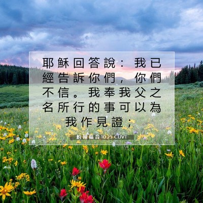 Picture 07 - 約 翰 福 音 10:25 CUVT - 耶 穌 回 答 說 ： 我 已 經 告 訴 你 - Bible Verse Picture