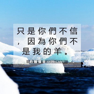 Picture 07 - 約 翰 福 音 10:26 CUVT - 只 是 你 們 不 信 ， 因 為 你 們 不 - Bible Verse Picture