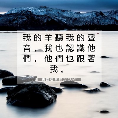 Picture 07 - 約 翰 福 音 10:27 CUVT - 我 的 羊 聽 我 的 聲 音 ， 我 也 認 - Bible Verse Picture