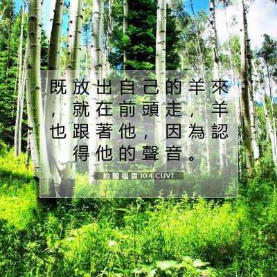 Picture 07 - 約 翰 福 音 10:4 CUVT - 既 放 出 自 己 的 羊 來 ， 就 在 前 - Bible Verse Picture