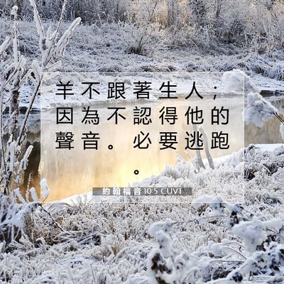 Picture 07 - 約 翰 福 音 10:5 CUVT - 羊 不 跟 著 生 人 ； 因 為 不 認 得 - Bible Verse Picture