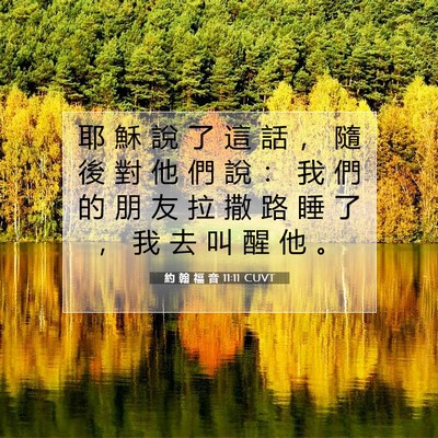 Picture 07 - 約 翰 福 音 11:11 CUVT - 耶 穌 說 了 這 話 ， 隨 後 對 他 們 - Bible Verse Picture