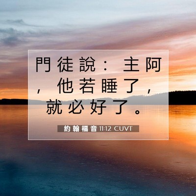 Picture 07 - 約 翰 福 音 11:12 CUVT - 門 徒 說 ： 主 阿 ， 他 若 睡 了 ， - Bible Verse Picture