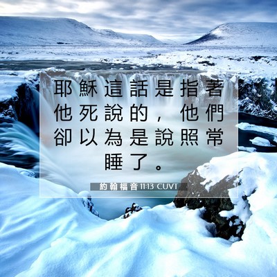 Picture 07 - 約 翰 福 音 11:13 CUVT - 耶 穌 這 話 是 指 著 他 死 說 的 ， - Bible Verse Picture