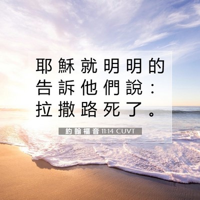 Picture 07 - 約 翰 福 音 11:14 CUVT - 耶 穌 就 明 明 的 告 訴 他 們 說 ： - Bible Verse Picture