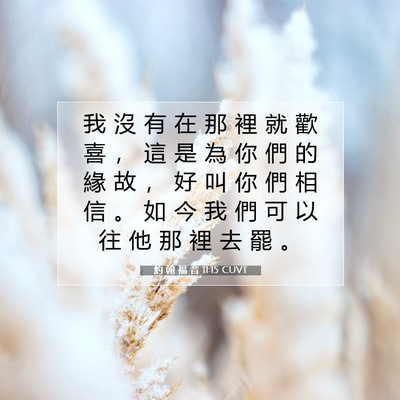 Picture 07 - 約 翰 福 音 11:15 CUVT - 我 沒 有 在 那 裡 就 歡 喜 ， 這 是 - Bible Verse Picture