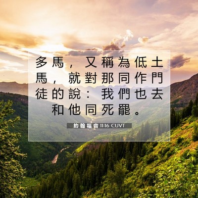 Picture 07 - 約 翰 福 音 11:16 CUVT - 多 馬 ， 又 稱 為 低 土 馬 ， 就 對 - Bible Verse Picture