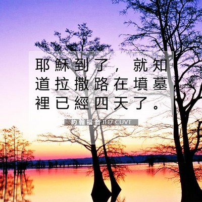 Picture 07 - 約 翰 福 音 11:17 CUVT - 耶 穌 到 了 ， 就 知 道 拉 撒 路 在 - Bible Verse Picture
