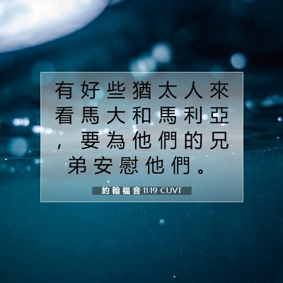 Picture 07 - 約 翰 福 音 11:19 CUVT - 有 好 些 猶 太 人 來 看 馬 大 和 馬 - Bible Verse Picture