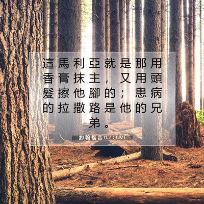 Picture 07 - 約 翰 福 音 11:2 CUVT - 這 馬 利 亞 就 是 那 用 香 膏 抹 主 - Bible Verse Picture