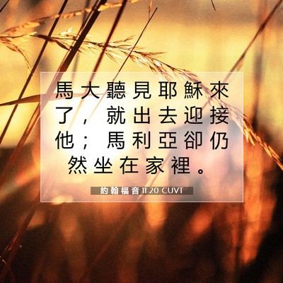 Picture 07 - 約 翰 福 音 11:20 CUVT - 馬 大 聽 見 耶 穌 來 了 ， 就 出 去 - Bible Verse Picture