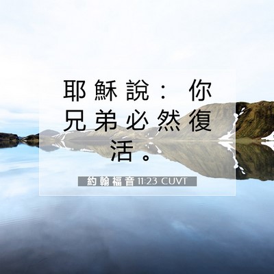 Picture 07 - 約 翰 福 音 11:23 CUVT - 耶 穌 說 ： 你 兄 弟 必 然 復 活 - Bible Verse Picture