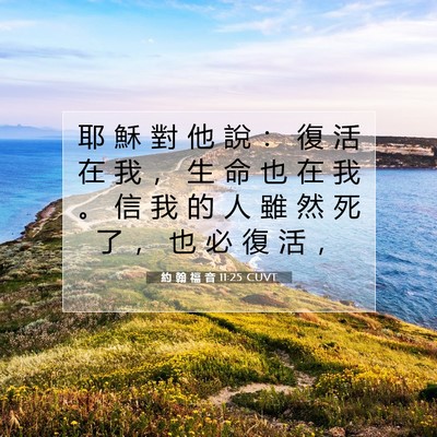 Picture 07 - 約 翰 福 音 11:25 CUVT - 耶 穌 對 他 說 ： 復 活 在 我 ， 生 - Bible Verse Picture