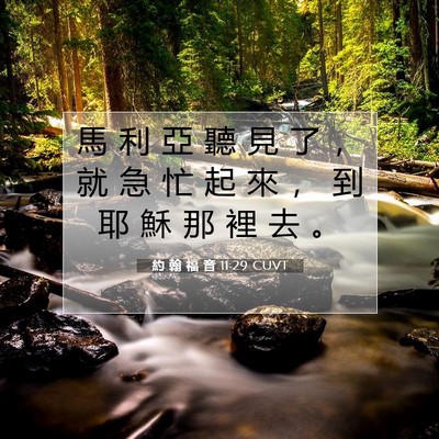 Picture 07 - 約 翰 福 音 11:29 CUVT - 馬 利 亞 聽 見 了 ， 就 急 忙 起 來 - Bible Verse Picture