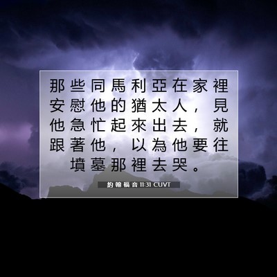 Picture 07 - 約 翰 福 音 11:31 CUVT - 那 些 同 馬 利 亞 在 家 裡 安 慰 他 - Bible Verse Picture