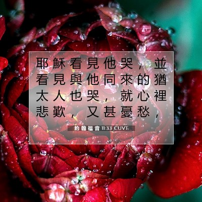 Picture 07 - 約 翰 福 音 11:33 CUVT - 耶 穌 看 見 他 哭 ， 並 看 見 與 他 - Bible Verse Picture