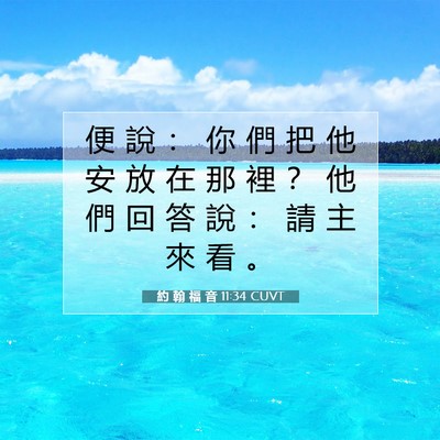 Picture 07 - 約 翰 福 音 11:34 CUVT - 便 說 ： 你 們 把 他 安 放 在 那 裡 - Bible Verse Picture