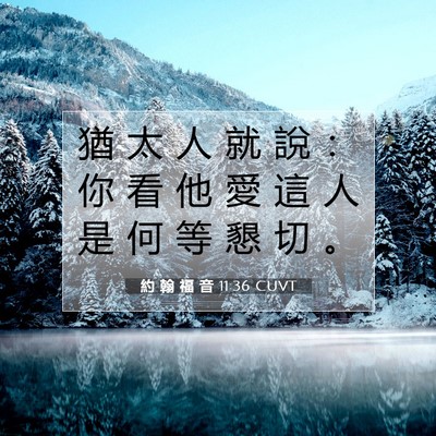 Picture 07 - 約 翰 福 音 11:36 CUVT - 猶 太 人 就 說 ： 你 看 他 愛 這 人 - Bible Verse Picture