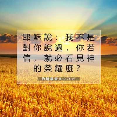Picture 07 - 約 翰 福 音 11:40 CUVT - 耶 穌 說 ： 我 不 是 對 你 說 過 ， - Bible Verse Picture