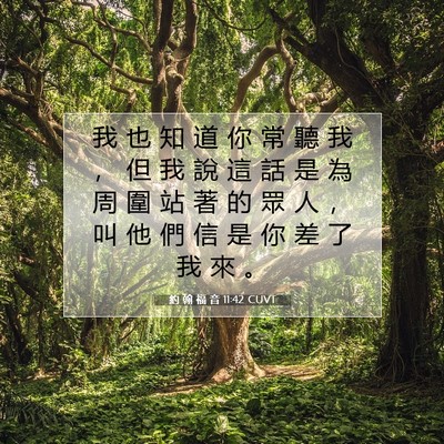 Picture 07 - 約 翰 福 音 11:42 CUVT - 我 也 知 道 你 常 聽 我 ， 但 我 說 - Bible Verse Picture
