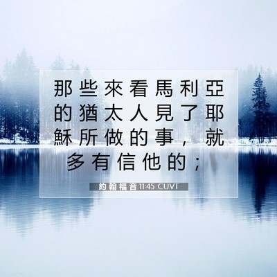 Picture 07 - 約 翰 福 音 11:45 CUVT - 那 些 來 看 馬 利 亞 的 猶 太 人 見 - Bible Verse Picture