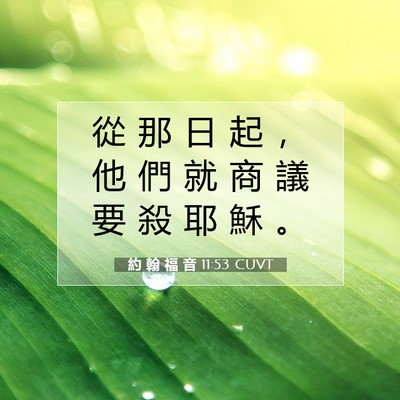 Picture 07 - 約 翰 福 音 11:53 CUVT - 從 那 日 起 ， 他 們 就 商 議 要 殺 - Bible Verse Picture