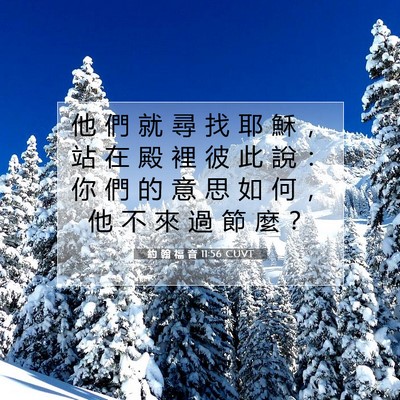 Picture 07 - 約 翰 福 音 11:56 CUVT - 他 們 就 尋 找 耶 穌 ， 站 在 殿 裡 - Bible Verse Picture