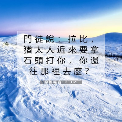 Picture 07 - 約 翰 福 音 11:8 CUVT - 門 徒 說 ： 拉 比 ， 猶 太 人 近 來 - Bible Verse Picture