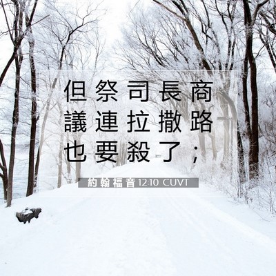 Picture 07 - 約 翰 福 音 12:10 CUVT - 但 祭 司 長 商 議 連 拉 撒 路 也 要 - Bible Verse Picture