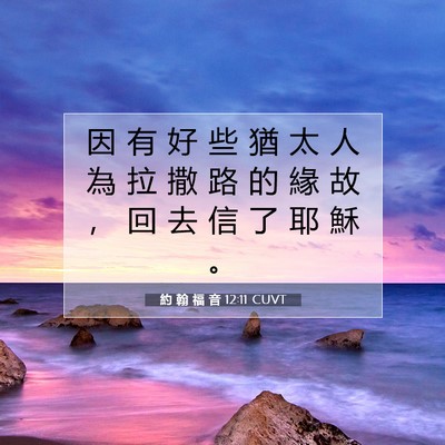 Picture 07 - 約 翰 福 音 12:11 CUVT - 因 有 好 些 猶 太 人 為 拉 撒 路 的 - Bible Verse Picture